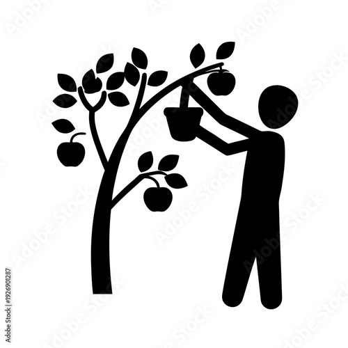 Person picking ripe fruits from a tree in a simple illustration Vector