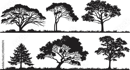 Set of tree silhouettes on white background for design and decoration purposes easily