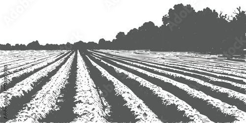 Monochromatic vintage engraving style vector illustration of an agricultural field with rows of crops and trees in the background