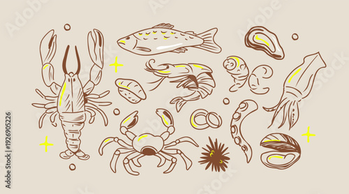 Hand drawn seafood collection. Lobster, shrimp, crayfish, octopus, squid, oysters, mussels, sea urchin, king prawn and salmon vector illustration. Vintage style for restaurant menu, packaging.
