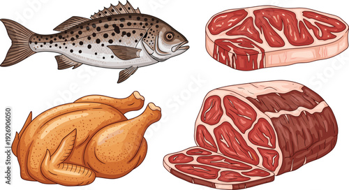 Hand drawn illustration of fresh protein sources including raw beef steak whole chicken and fish isolated on a white background for food design