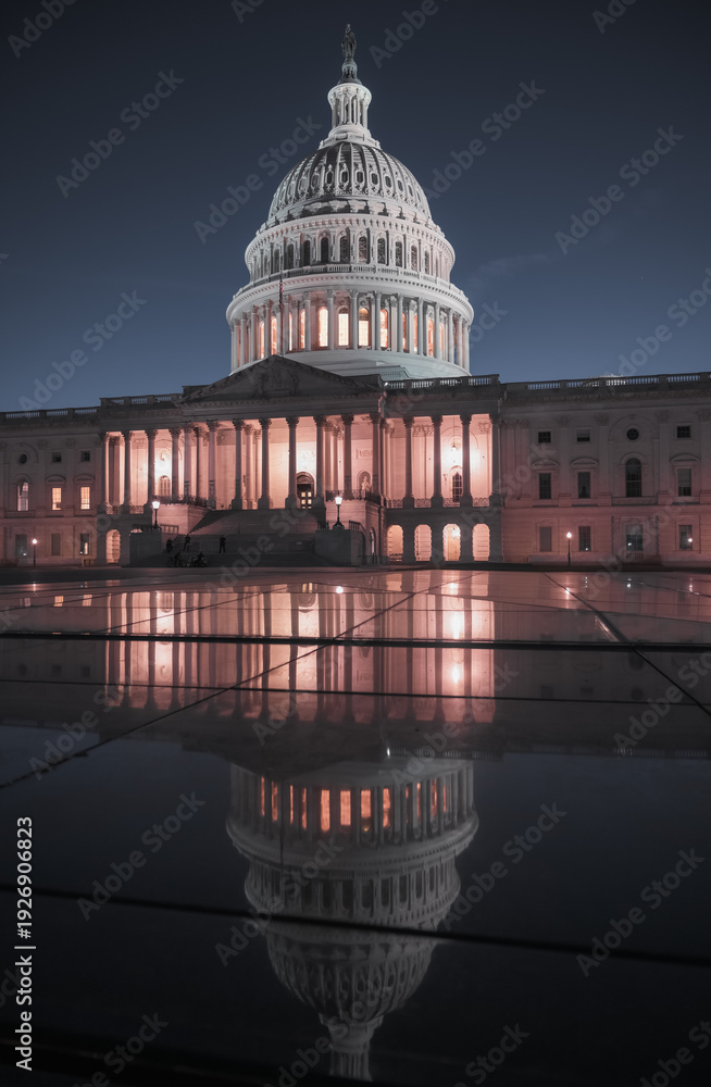 Fototapeta premium The United States Capitol on the National Mall in Washington, D.C.