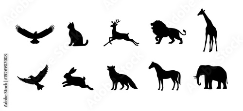 Set of various wild and domestic animal silhouettes, collection of mammals and birds including elephant lion giraffe and horse vector.