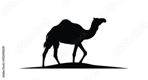 A black silhouette of a camel walking on a small hill silhouette