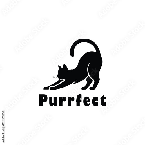 Stunning black cat stretching in playful purrfect pose