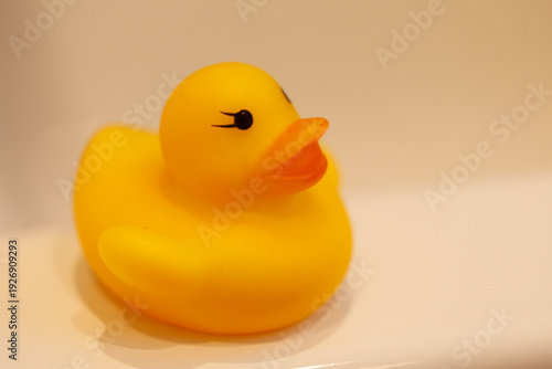 Close-up photo of a friendl...