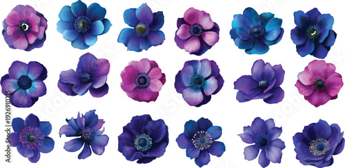 set of blue flowers isolated