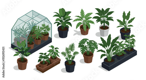 collection of indoor potted plants and glass greenhouse in realistic style for home and garden decoration