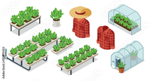 hydroponic lettuce plants with greenhouse and farmer shirt and hat isometric set