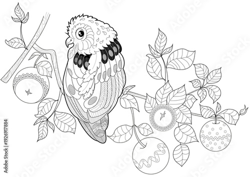 Art therapy coloring page. Coloring book antistress for children and adults. Birds hand drawn in vintage style. The art of linear engraving.