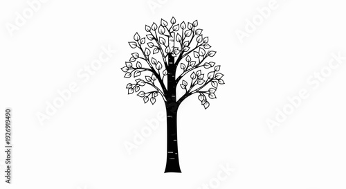 Simple black and white line drawing of a deciduous tree with many leaves