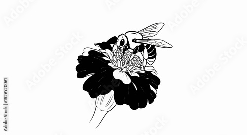 A black and white drawing of a bee collecting nectar from a flower (2)