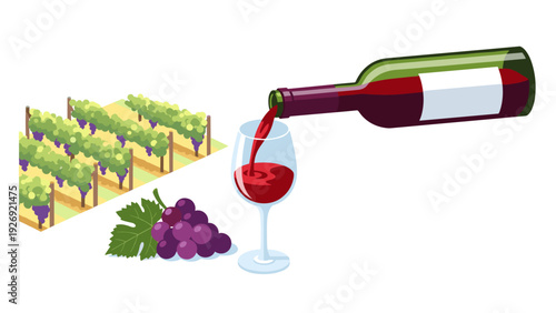 red wine pouring from bottle into glass with grape vineyard and bunch of grapes illustration