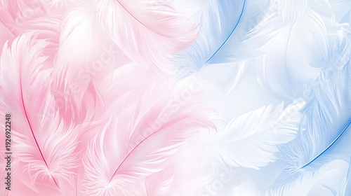 Soft Pink and Blue Feathers Gradient Background, Delicate and Fluffy Texture