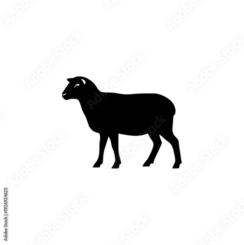 Side view silhouette of a domestic sheep, farm animal standing in a natural pose, livestock mammal vector illustration.