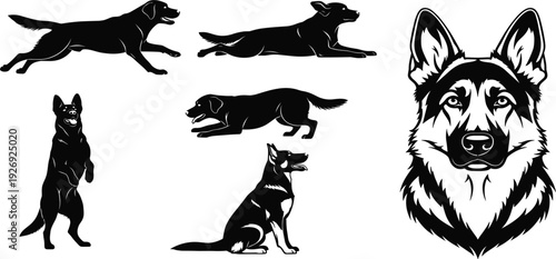 German Shepherd Dog Silhouette Set with Running, Sitting, Jumping and Detailed Head Portrait for Pet Logo, Mascot, Security, Police and K9 Design