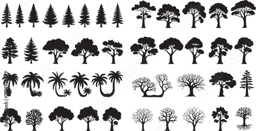 Silhouettes of Trees in Nature