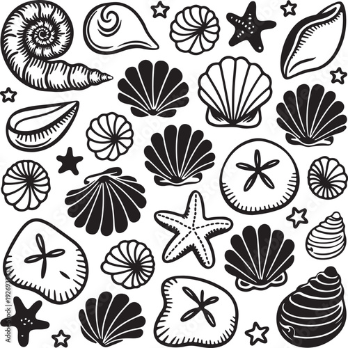 Black and white illustration of various seashells and starfish
