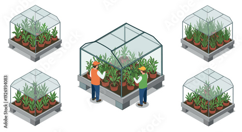 isometric set of greenhouses with potted plants and gardeners hand drawn illustration for gardening and agriculture design