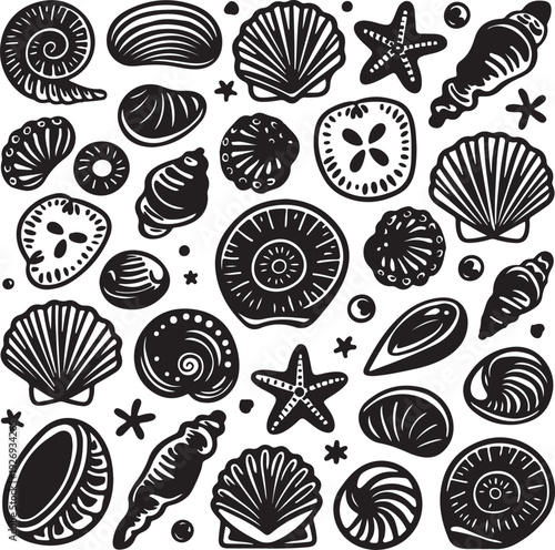 Black and white illustration of various seashells and starfish