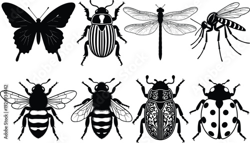 Detailed insect silhouette vector collection, butterfly beetle dragonfly mosquito bee ladybug black isolated set for tattoo design logo and entomology illustration