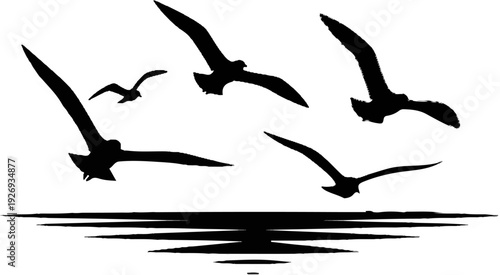 Silhouettes of seagulls in flight above abstract wavy lines, representing water