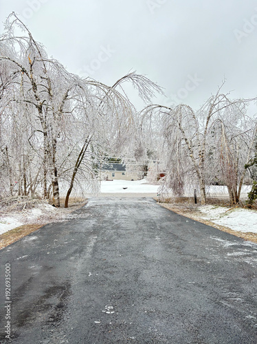 Ice Storm