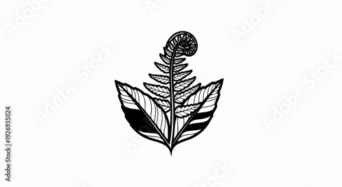 Stylized black ink drawing of a unfurling fern frond with surrounding leaves