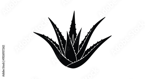 A striking black silhouette of an aloe vera plant