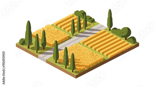 isometric agricultural field with wheat and trees flat vector illustration