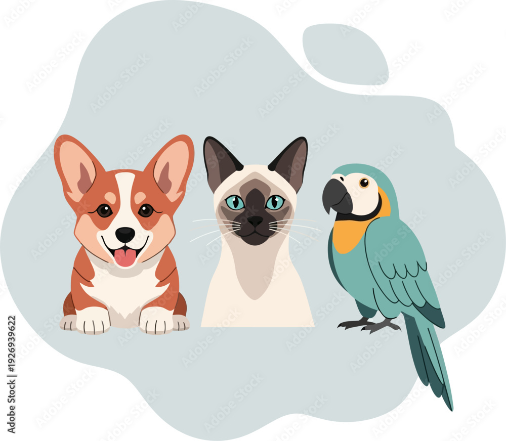 Fototapeta premium Corgi Dog, Siamese Cat, and Macaw Parrot Flat Vector Illustration
