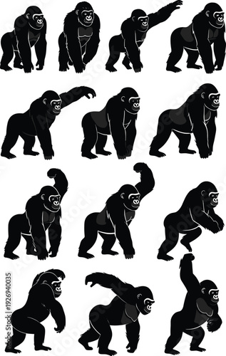 Collection of gorilla silhouettes in dynamic poses featuring powerful wild primates isolated on white background for wildlife design, zoo branding, and animal illustration projects
