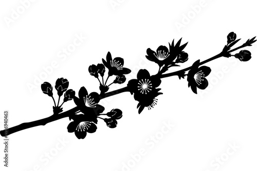 Elegant Black Branch with Blooming Flowers - Minimalist Floral Design