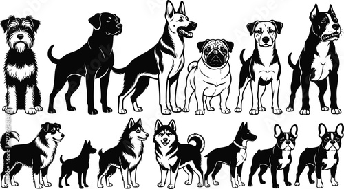 Collection of dog breed silhouettes featuring popular domestic pets in standing poses isolated on white background for veterinary, kennel, and animal design projects