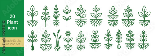 20 Plant and Botanical Line Icons with Roots for Nature and Biology