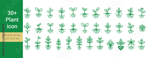 30+ Plant and Botanical Seedling Line Icons with Roots Collection