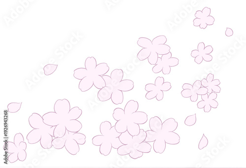 舞う桜のイラスト