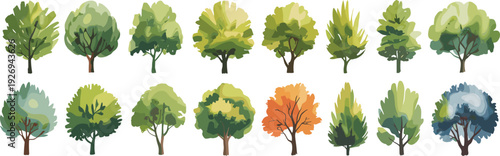 Set of green garden trees, diverse deciduous species, forest elements and botanical landscaping trees isolated on plain white background.