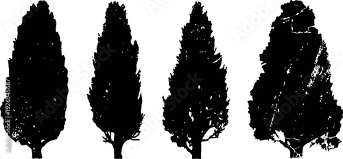 four black silhouette cypress trees in different shapes on white background, evergreen conifer  design