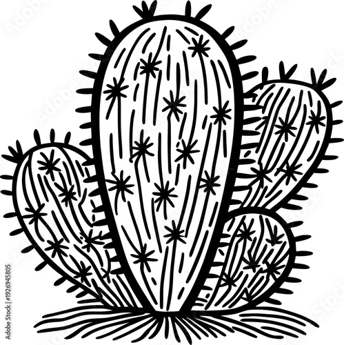 black and white cactus illustration with spines and textured surface in desert landscape