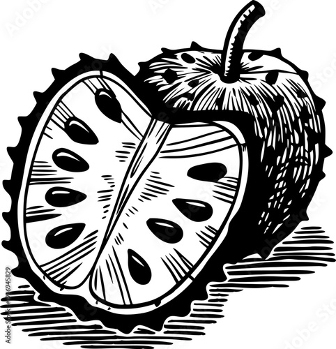 soursop fruit with seeds and spiky exterior cross section detailed black and white illustration