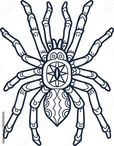 Intricate spider illustration with detailed patterns and eight segmented legs in black and white