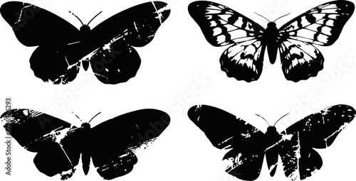 Black butterfly silhouettes collection four different butterfly shapes isolated on white background