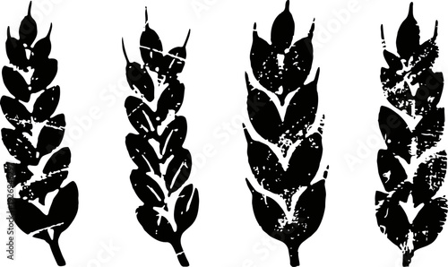 Black ink wheat ears set four distinct grain silhouettes with textured brush stroke on white background