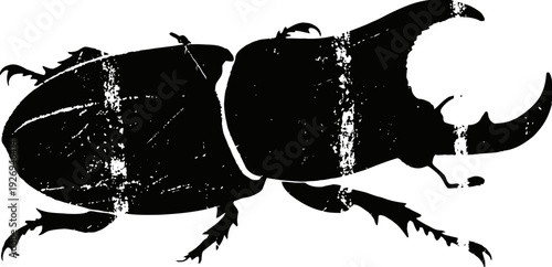 stag beetle silhouette with characteristic large mandibles isolated on white background