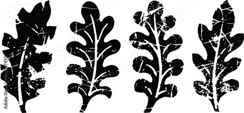 rustic grunge black oak leaves silhouettes vintage nature design elements with distressed texture