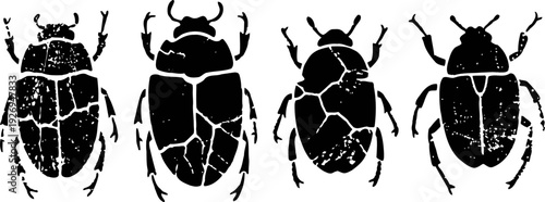 set of four vintage black silhouette beetles with distinct shapes and textures, entomology insects collection