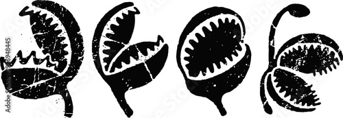 four black and white venus flytrap carnivorous plant illustrations in various open positions