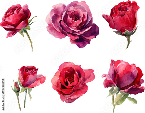 Wallpaper Mural set of red roses isolated Torontodigital.ca