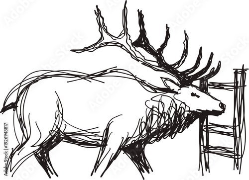 Sketch of a moose with large antlers eating or smelling a wooden fence, wildlife illustration